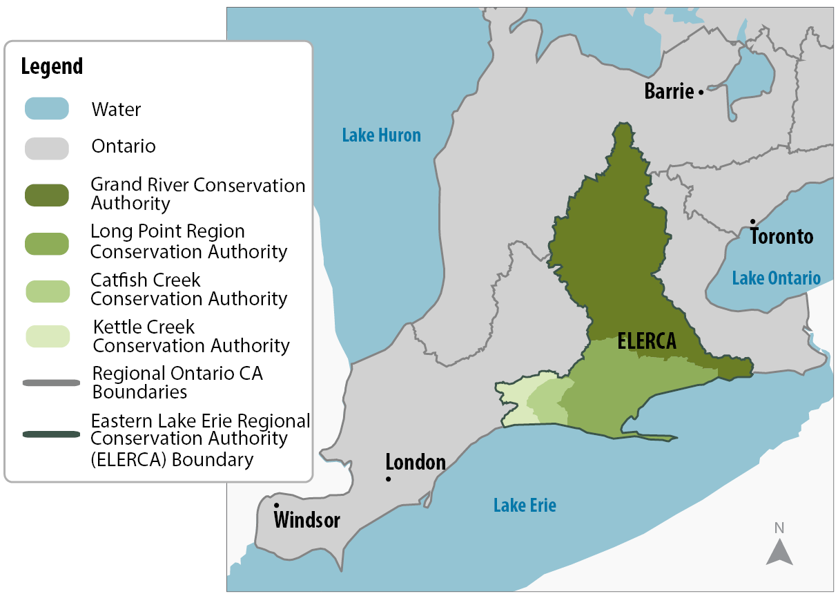Map of southwestern Ontario showing the future Eastern Lake Erie Regional Conservation Authority (ELERCA). The Grand River, Long Point Region, Catfish Creek, and Kettle Creek conservation authorities are shown in different shades of green within the new regional boundary.